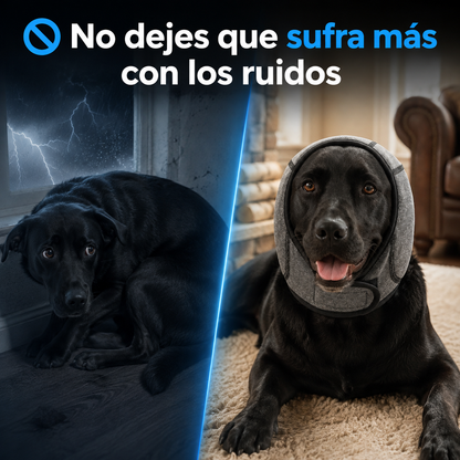 Protector Auditivo Antirruido e Impermeable para Perros 🐾